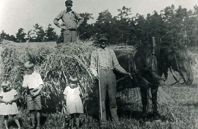 Historisk bild. Björnö. Häst och hölass.